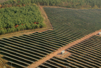 Zeytin ve Güneş: Türkiye'nin Kömürden Çıkışı için İki Proje