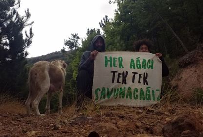 Doğa tahribatının örnekleri