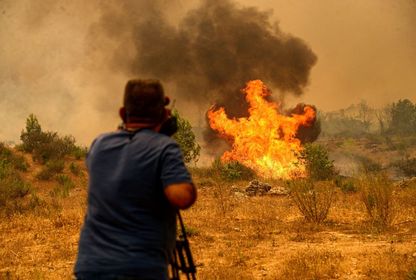 Orman Yangınları Hakkında Merak Edilenler