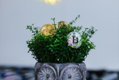 Blockchain Sektörünün Taşı Toprağı Altın mı?