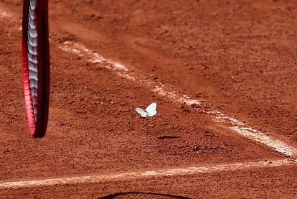 Roland Garros 2023: 1 numara yarışı, geri dönüşler ve son danslar