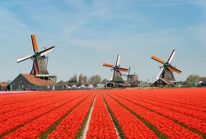 Cleantech ekosistemine bakış: Hollanda'nın sırrı ne?