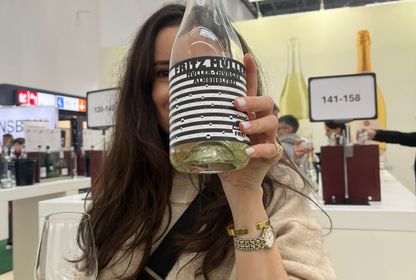 Üzümden haberler, ProWein turu