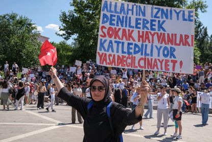 Hayvanları Koruma Kanunu Değişikliği ile Ne Amaçlanıyor?