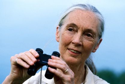 'Dünyaya bir görevle geldiğimi düşünüyorum': Dr. Jane Goodall ile umuda dair