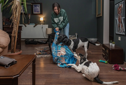 Dört köpek, bir yasa: Güvenli sokaklar aşkına 10 yıllık bir macera