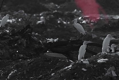 Dünyanın ölümüne ve yeni bir dünyaya dair: 'Dünya Burada Bitsin'