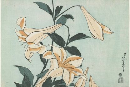 Hayalet dalga ya da bir ışıltı: Hokusai ve Han Kang'ın izinde