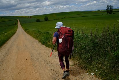 Avrupa’da sembollerle bezeli, ruhani bir rota: Camino de Santiago