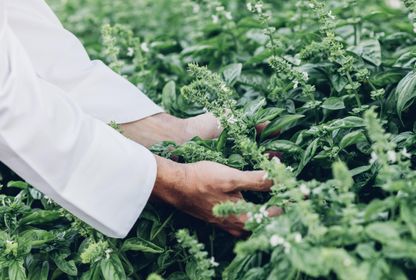 Yerelden ilham alan mutfaklar: Farm-to-table mutfaklarından hikayeler