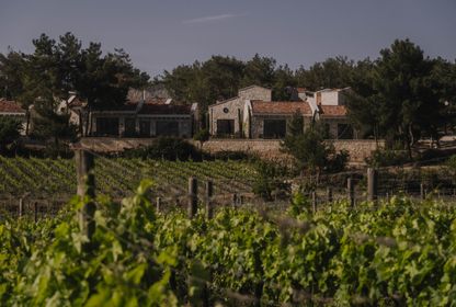 Urla Bağ Yolu etrafında yeni bir yerellik biçimi: Can Ortabaş