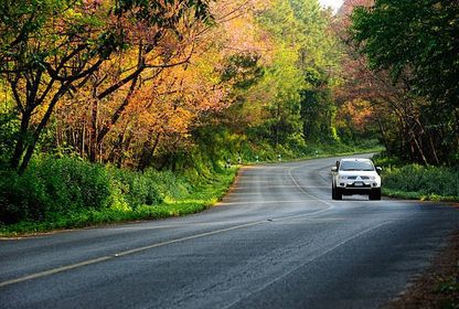 Orman yangınları otomotiv sektöründe ağaçlandırma seferberliği başlattı