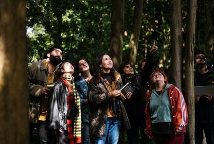 Aklımız havalarda: Bir kuşun peşinden dünyayı yeniden dinlemek