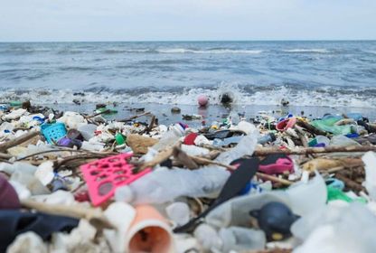 Dijital çağ kolonyalizminin yeni adı: Plastik atık sömürgeciliği