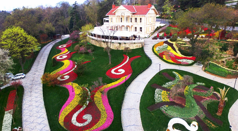 Kır çiçeğinden kültür çiçeğine: İstanbul kent yaşamında lalenin serüveni