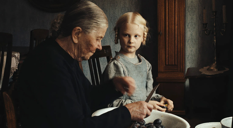Hafıza ile hayal gücü arasında adı olmayan şeyler: Mascha Schilinski ile 'Düşüşün Tınısı' üzerine