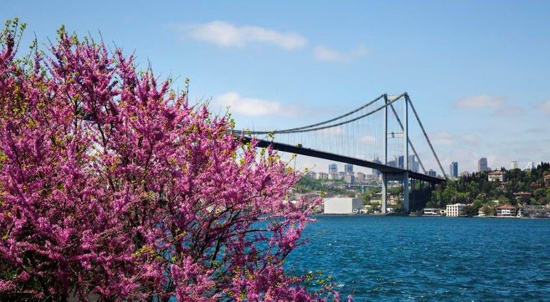 Hafıza bahçesinde bir kent turu: İstanbul'un kokusu nasıl hatırlanır?