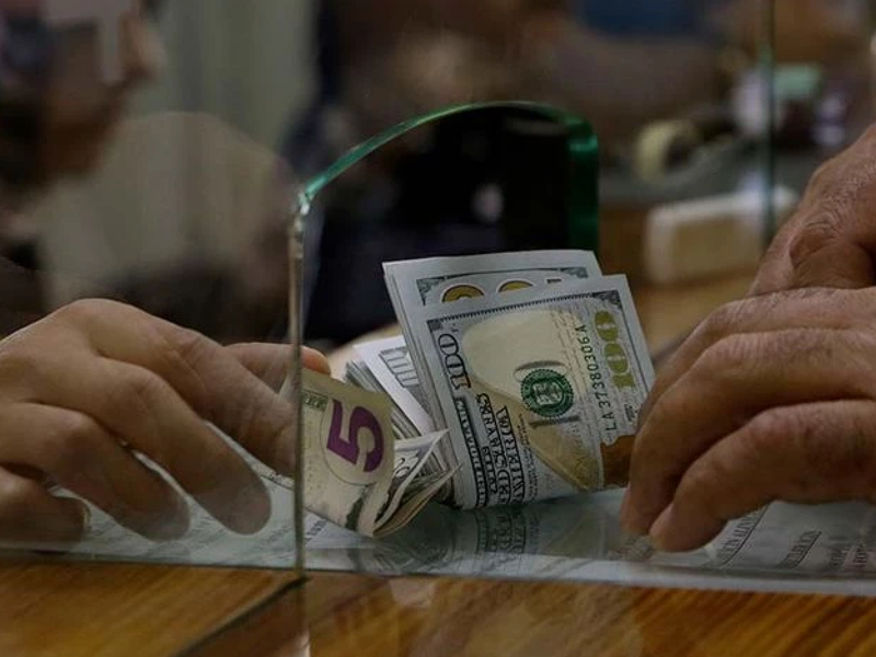 Uğur Gürses: 'Türkiye’deki döviz talebini siyasetçiler derinleştiriyor'