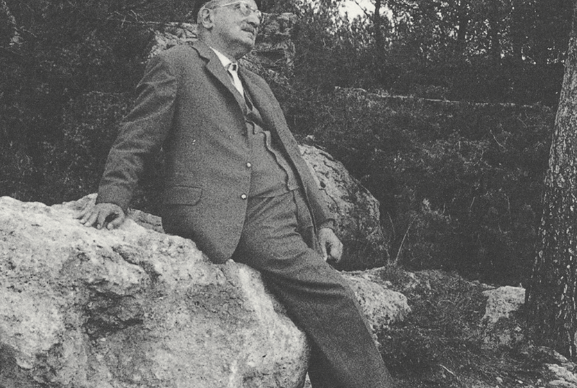 Martin Heidegger: “Düşünmenin kaderi…” 