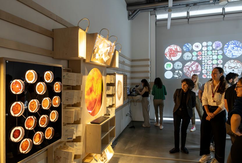 Nergiz Yeşil İş Birliğiyle: Biyolojik Materyallerle Sanat