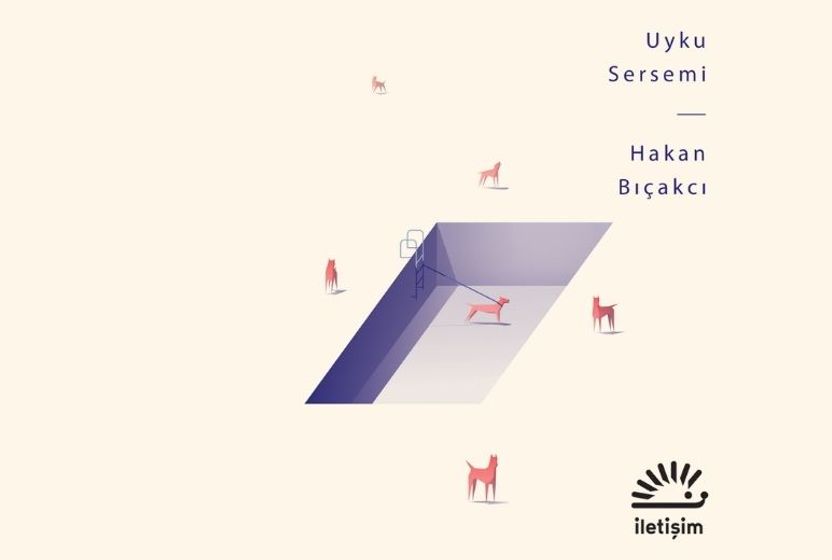 Edebiyatla müziğin kesiştiği yerde: Hakan Bıçakcı'dan 'Uyku Sersemi'