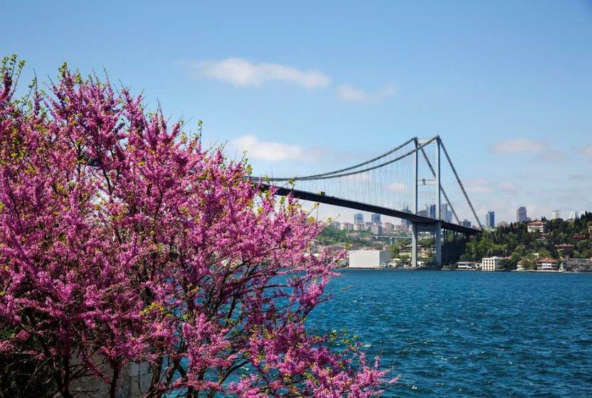 Hafıza bahçesinde bir kent turu: İstanbul'un kokusu nasıl hatırlanır?