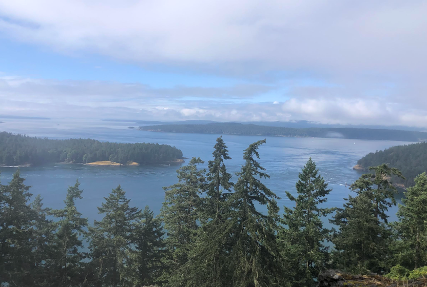 Vancouver'ın çok renkli duyusal haritası: Kuzgunlar, gölgeler, mitler ve kocaman bir gökyüzü