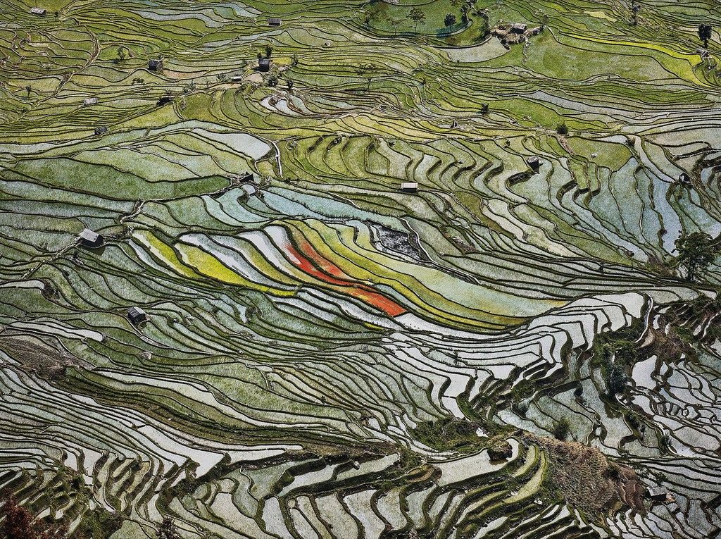 Edward Burtynsky,  Rice Terraces